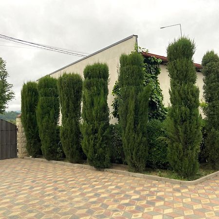 Hotel Doko Martvili Dış mekan fotoğraf